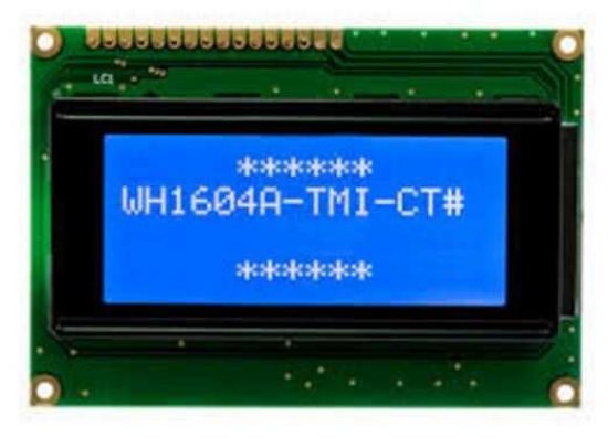4x16 Grafik Lcd Ekran Mavi - Wh1604a-tmı-ct resmi