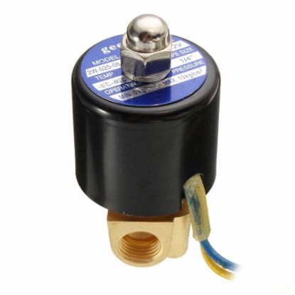 12v Dc 1/4 İnç Selenoid Motor (elektrikli Valf) resmi