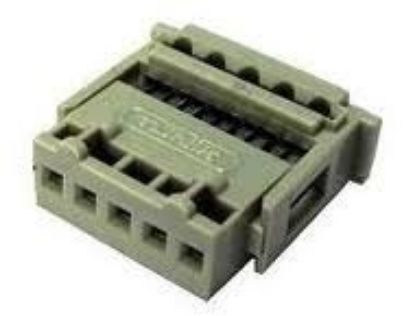 5'li Dişi Tunik (tmk1505) resmi