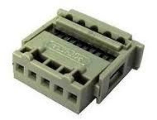 5'li Dişi Tunik (tmk1505) resmi