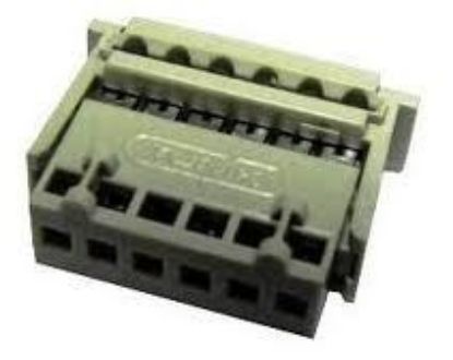 6'lı Dişi Tunik (tmk1506) resmi