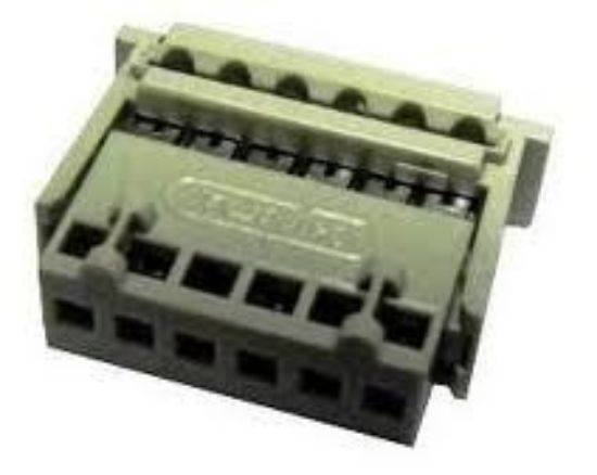 6'lı Dişi Tunik (tmk1506) resmi