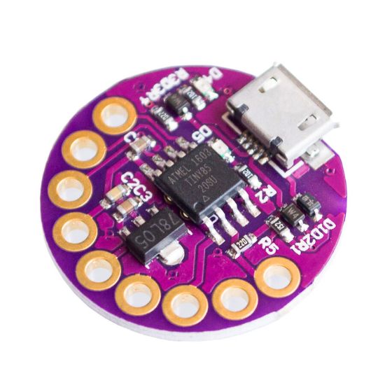 Lilytiny Geliştirme Kartı resmi