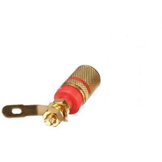 4mm Kırmızı Gold Born Jak resmi