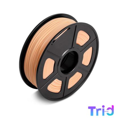 Ten Rengi Pla Plus Filament 1.75mm 1kg - Tri-d resmi